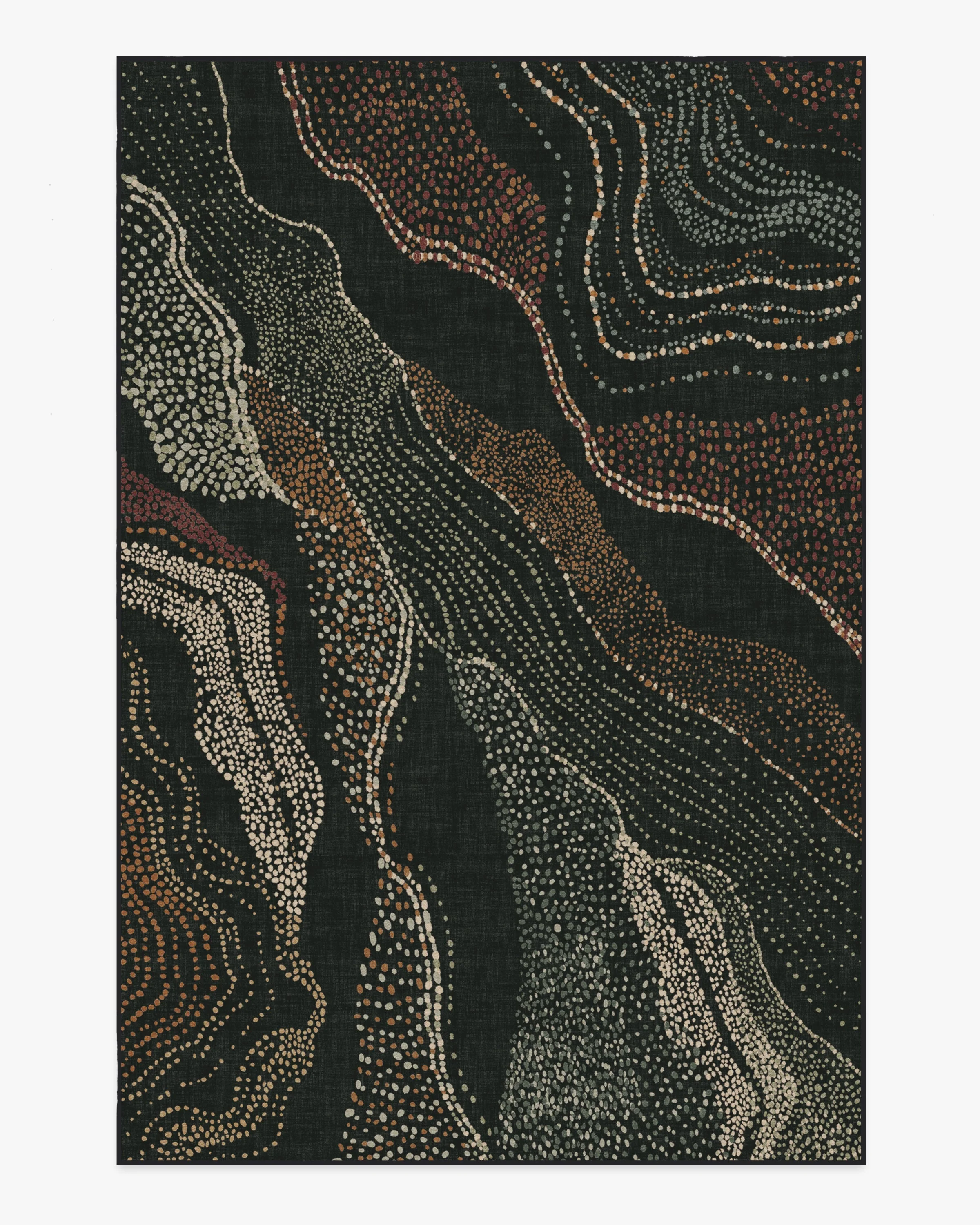 Adorned Black Multicolor Rug