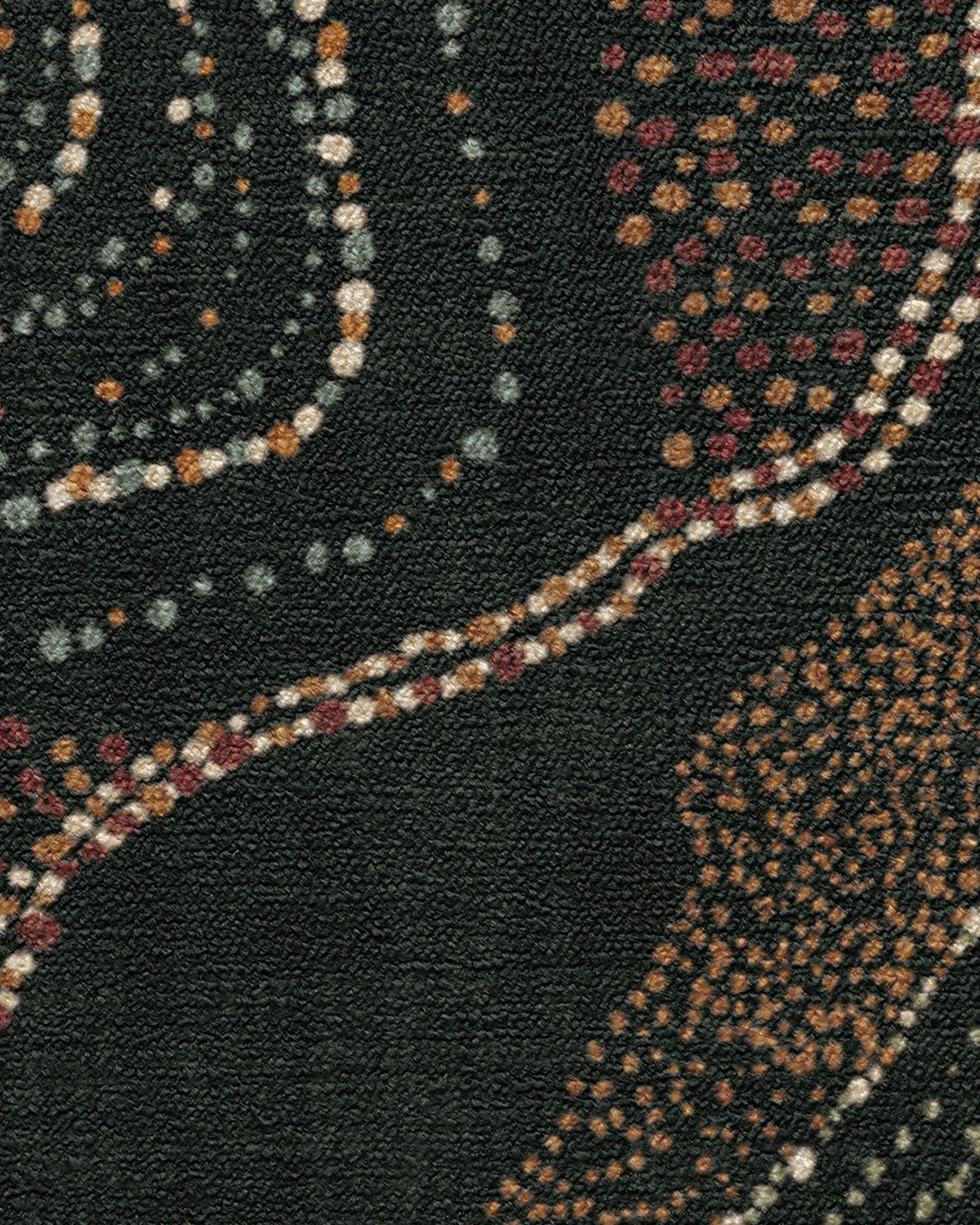 Adorned Black Multicolor Rug