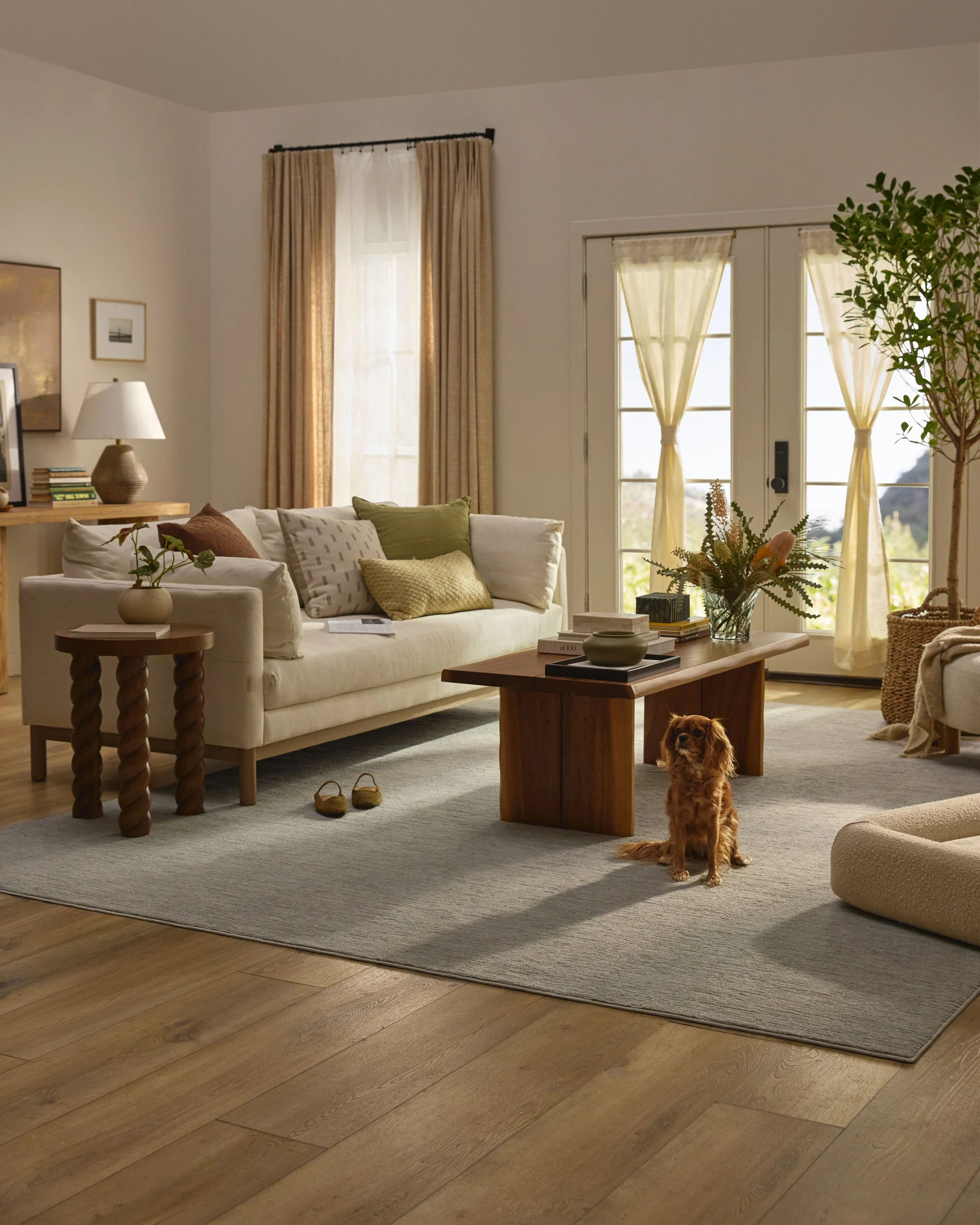 1363-finley-cloud-grey-plush-rug-6.webp Finley Cloud Grey Plush Rug
