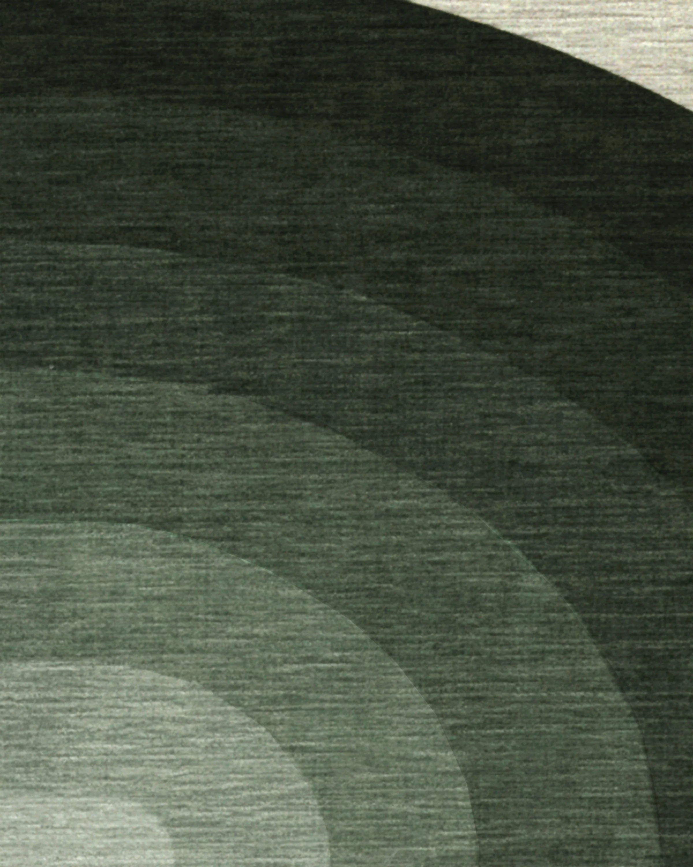 583-absida-sage-rug-2.webp Absida Sage Rug