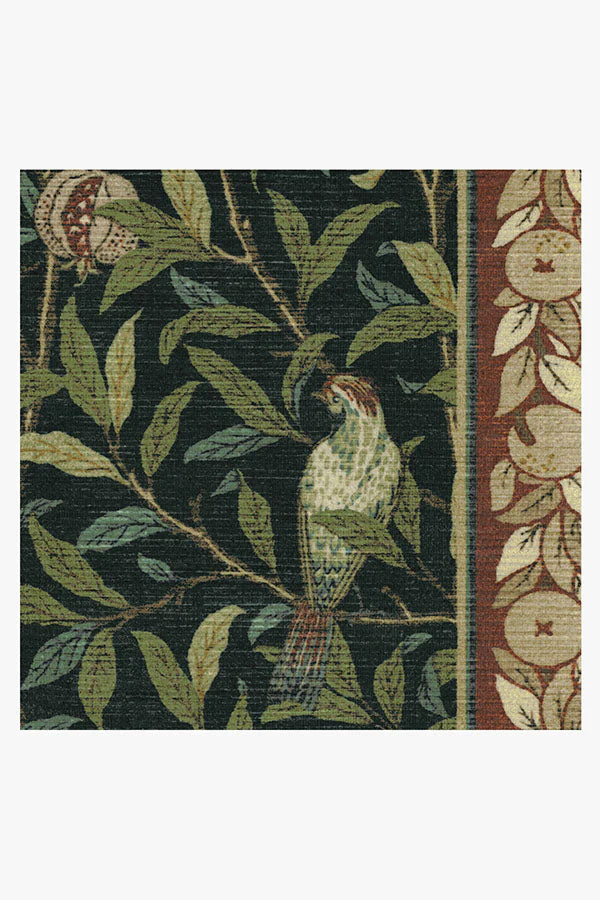Bird & Pomegranate Teal Green Rug